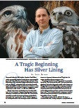 David Kitler - Wildlife Art Article