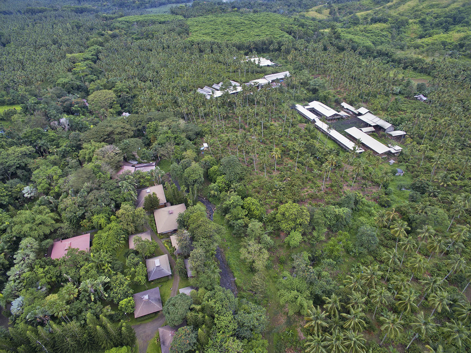 Malagos Chocolate's cacao farm –– Puentespina Farm