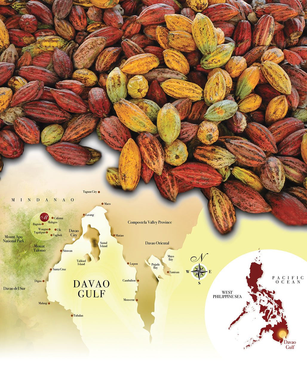 Davao City Declared as Chocolate Capital of the Philippines!