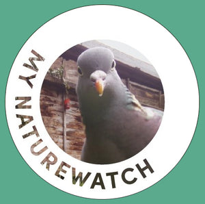 A product image of My Naturewatch Wildlife Camera