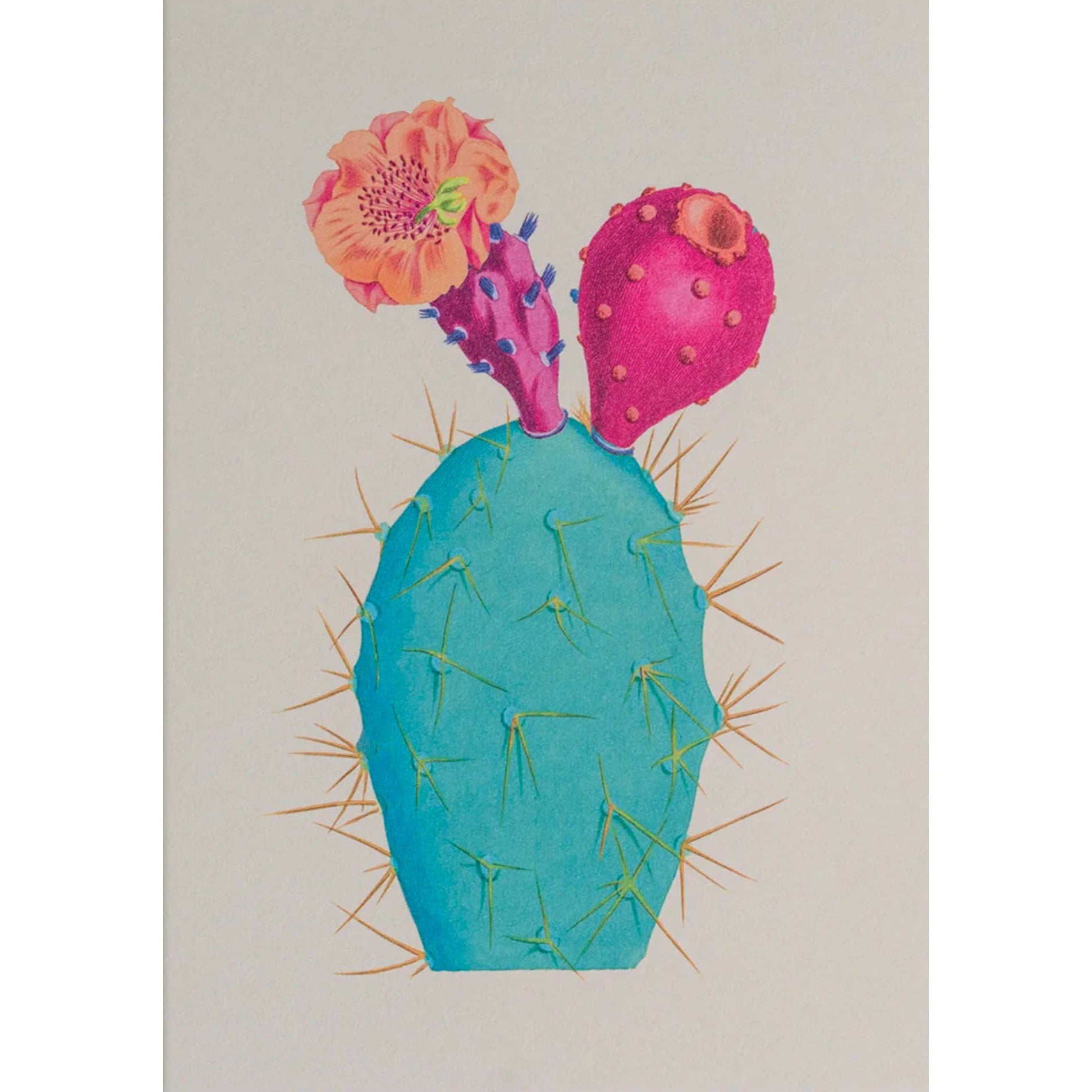 Calypso Cards Inc. - Cactus Card