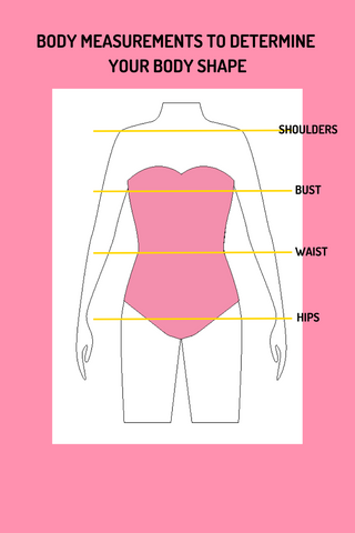 body measurements