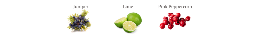 'Lind & Lime Gin' Premium Crackers