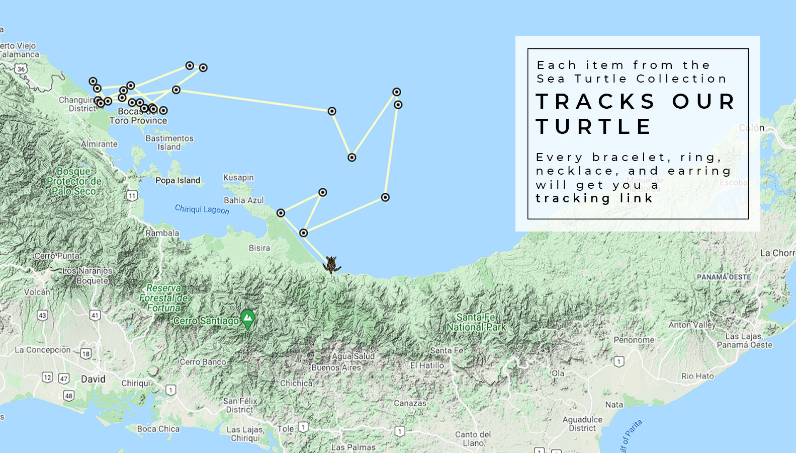 NOGU x Sea Turtle Conservancy Turtle Tracking Map