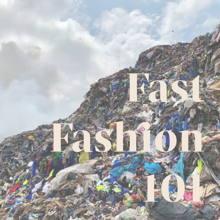 Fast Fashion 101: What Are Fast Fashion Brands? – Birdsong