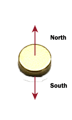 Neo Disc 3x1 Au  N38 Au Neodymium Disc