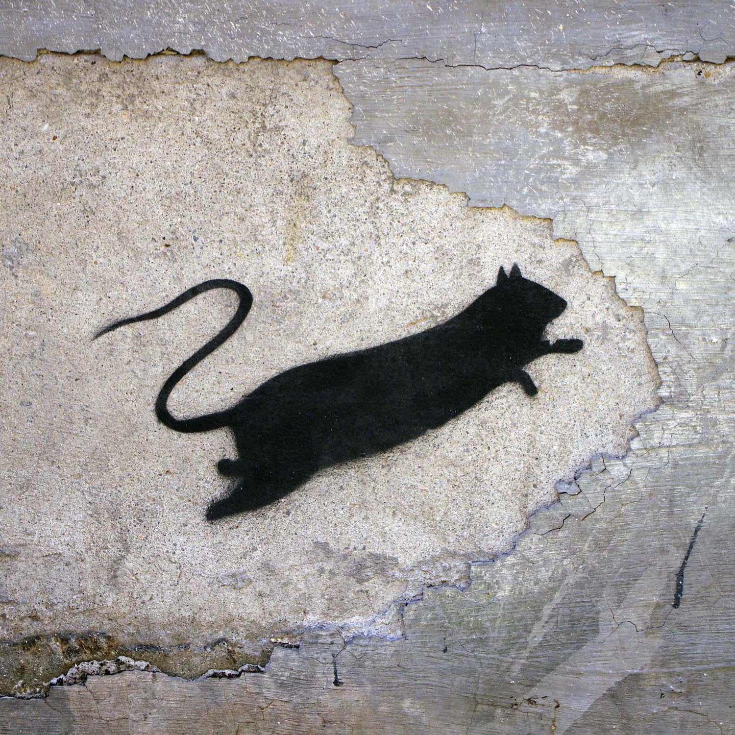 download blek rat for free