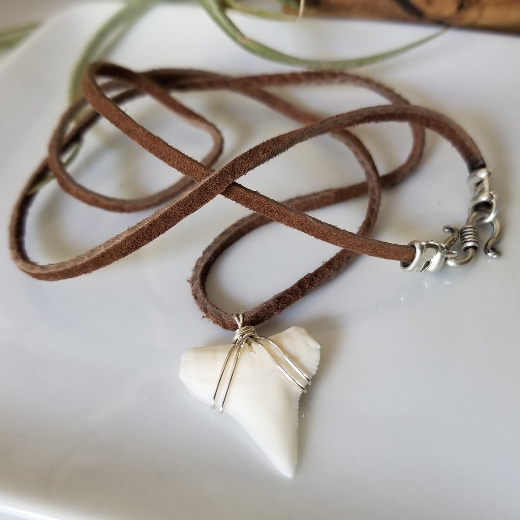 Buy Shark Tooth Necklace Online in India - Etsy