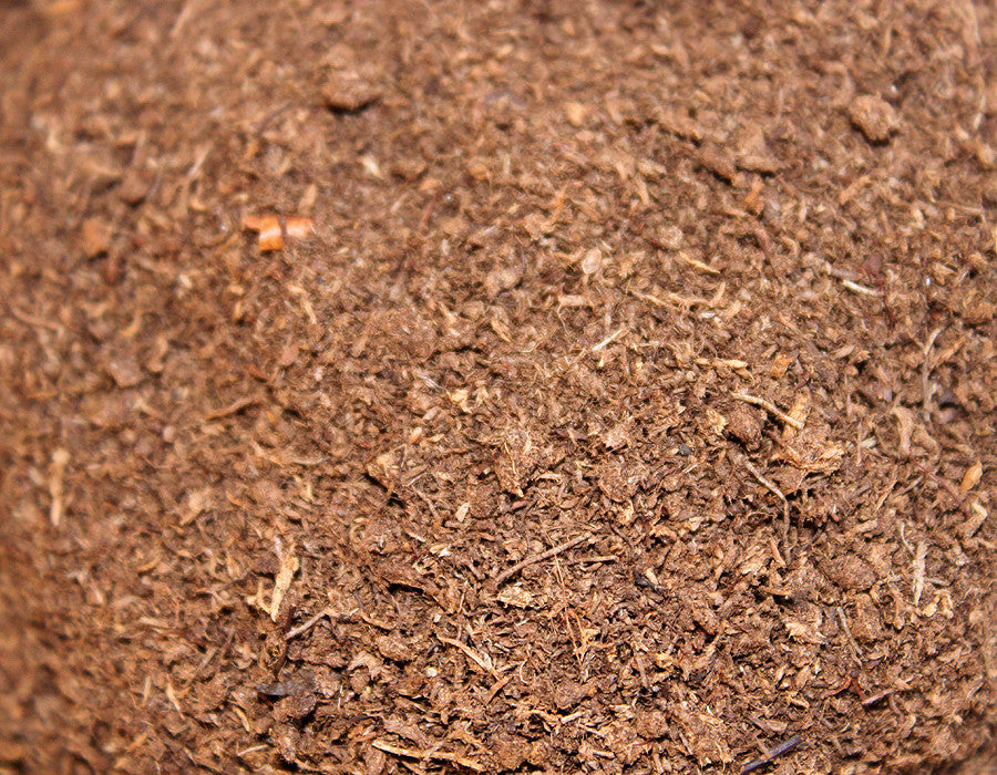 free download peat moss