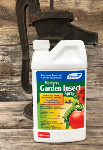 Garden Insect Spray Organic Spinosad Omri Controls Garden Pests Safely