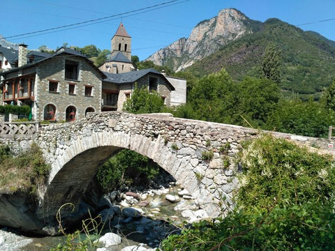 The little Spanish border town of Bielsa.