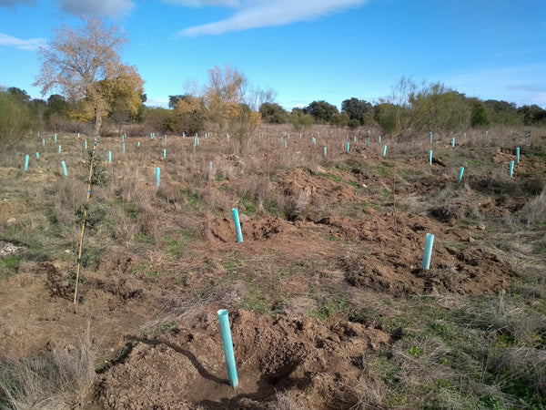 fundacion-global-nature-labeau-organic