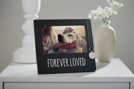 Forever Loved Pet ID Tag Memorial Frame Pet Loss