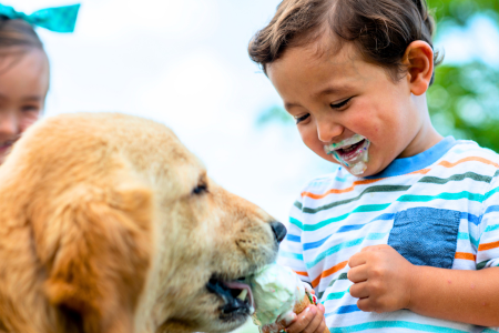 Ice Cream is a good treat when including a pet in the July celebrations