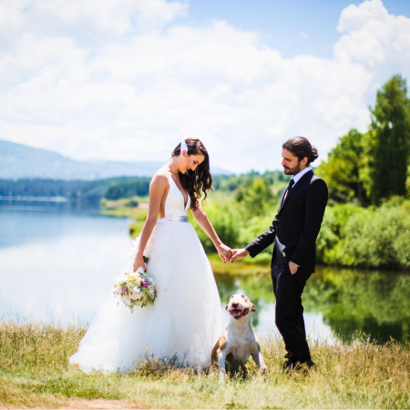 Wedding Services that Include the Dog - PetPerennials.com Thoughtful gifts for pet lovers