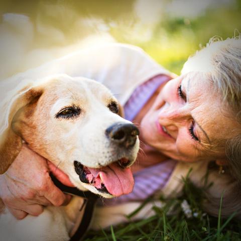 Losing a beloved pet breaks hearts - PetPerennials.com thoughtful gifts for pet loss