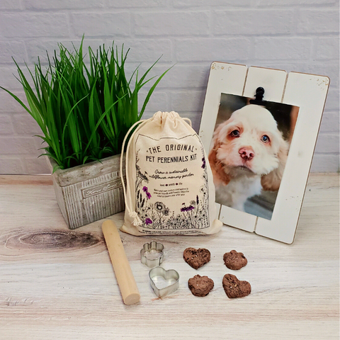 Pet Perennials Garden Craft Kit