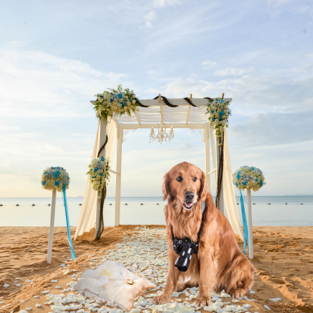 Pet Perennials Wedding Blog - Including Pets in the Wedding is all the Rage