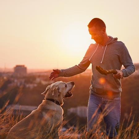 Exercise and Senior Pets PetPerennials.com