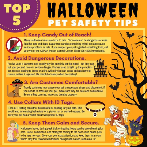 Tips Infographic Halloween Pet Safety
