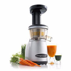 juicer for raw food