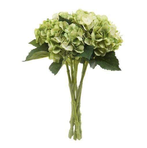 Hydrangeas Green