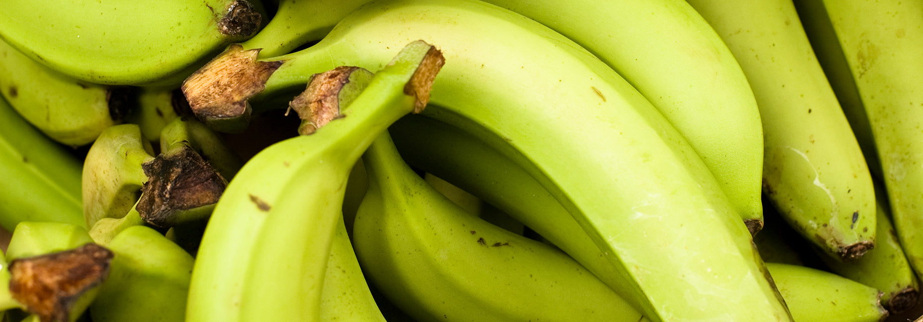5 fiber-rich superfoods
