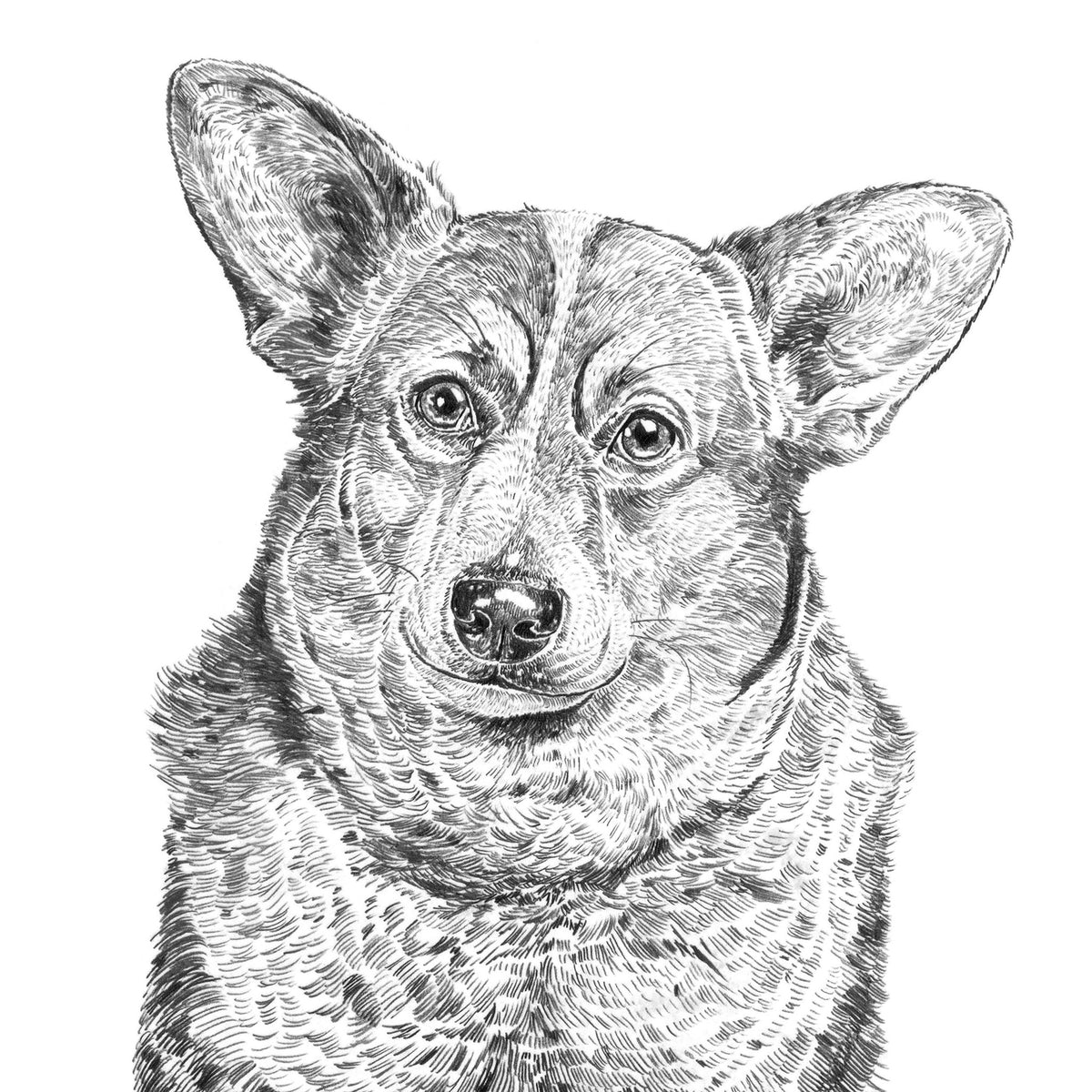 Corgi Dog Print – ROS SHIERS