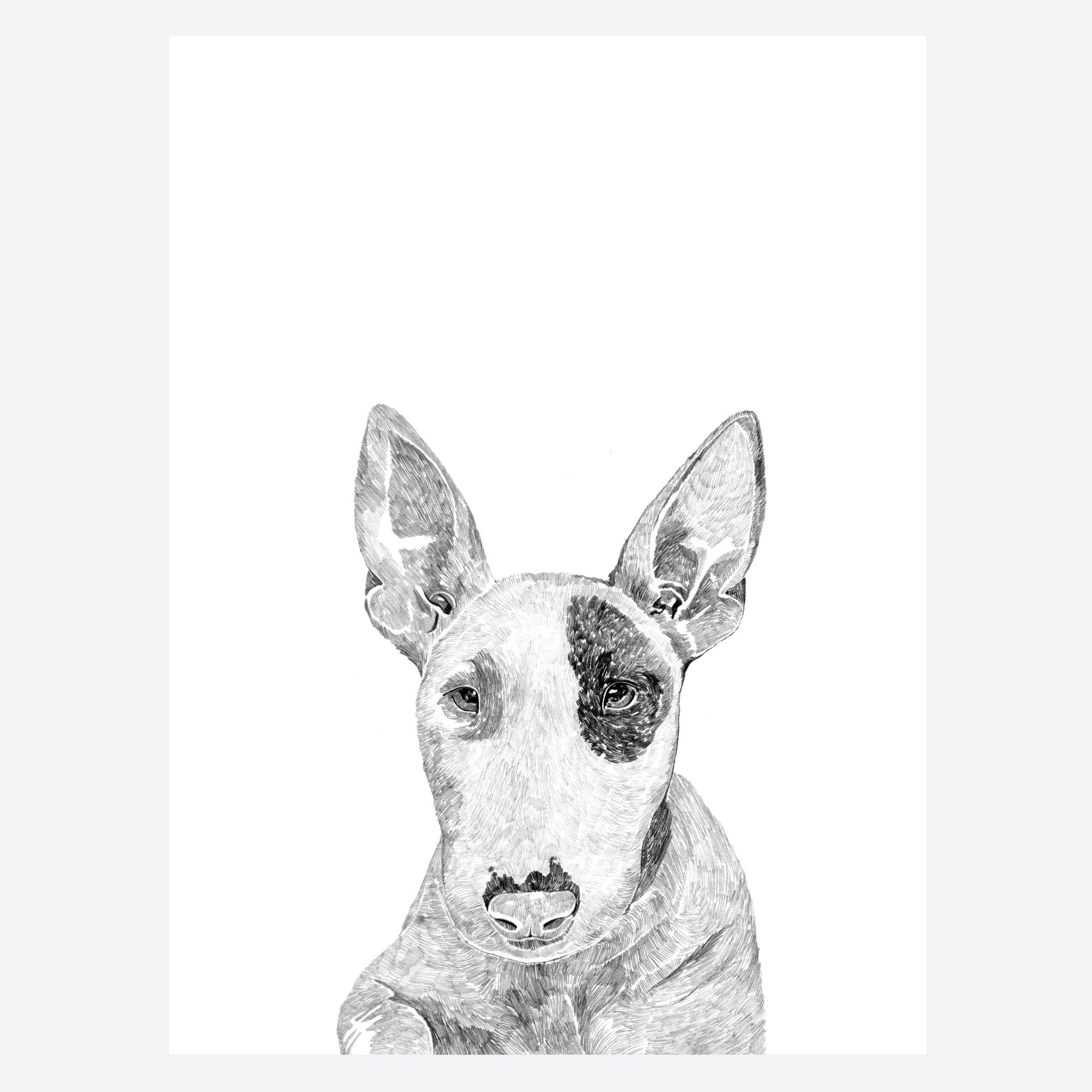Bull Terrier Dog Print – ROS SHIERS