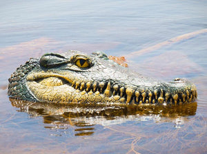remote control alligator head boat for sale