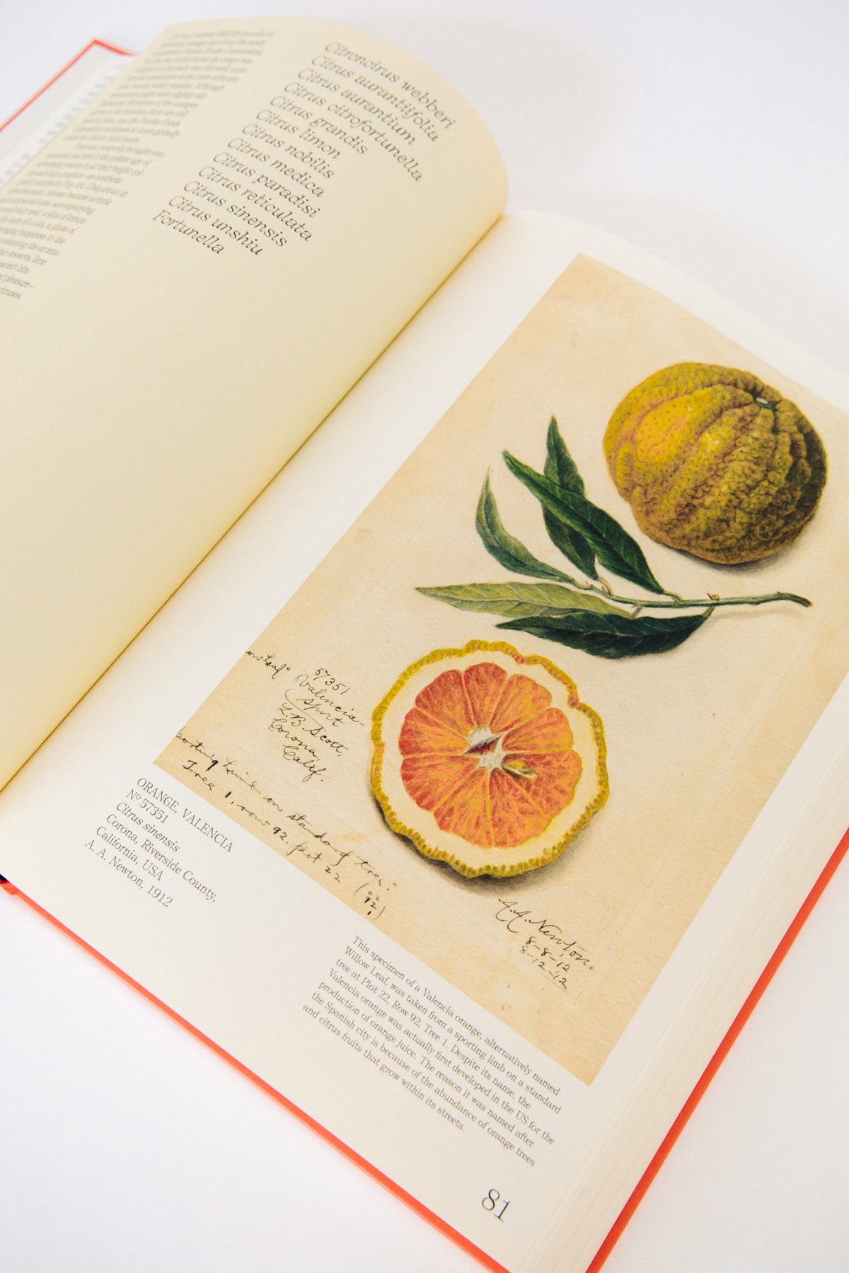 An Illustrated Catalog of American Fruits & Nuts: The U.S. Department of Agriculture Pomological Watercolor Collection