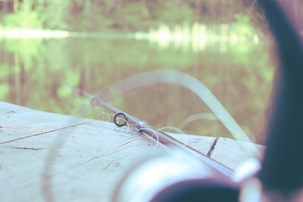 Can You Use Last Season's Fishing Line?