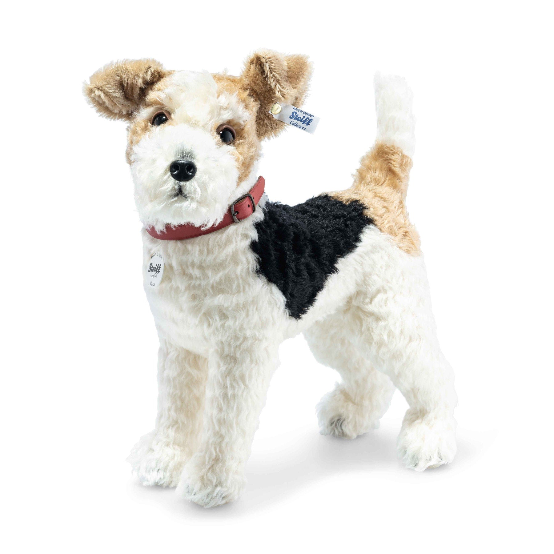 Neue Foxy Fox Terrier