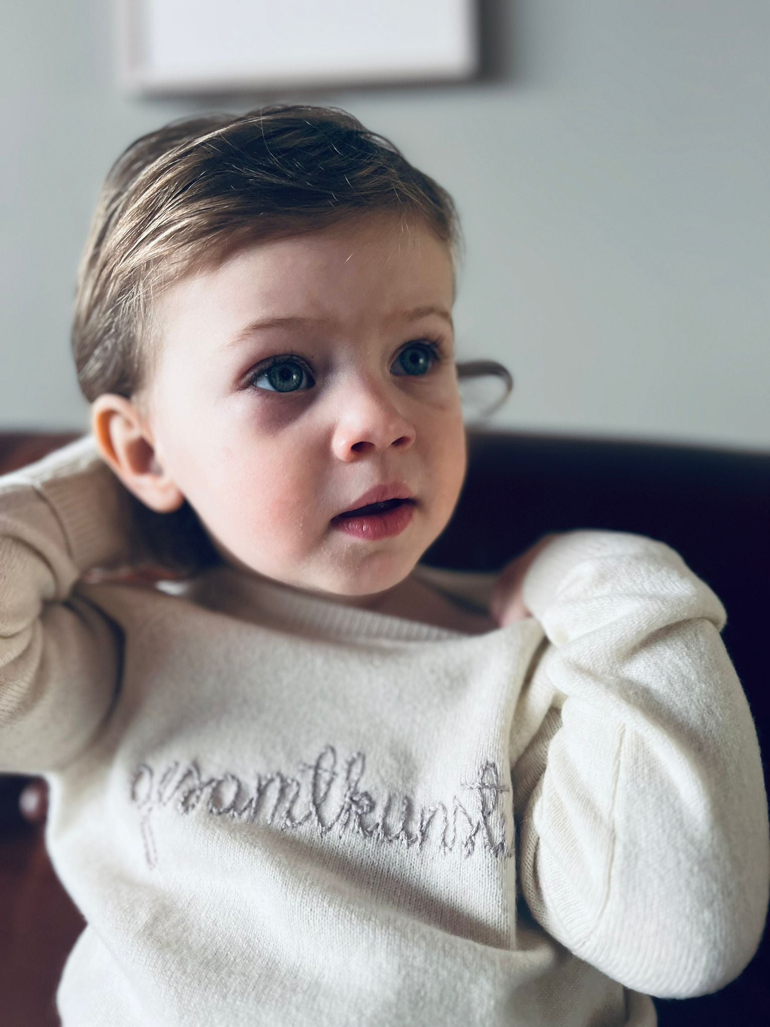 Gesamtkunstwerk Baby Sweater