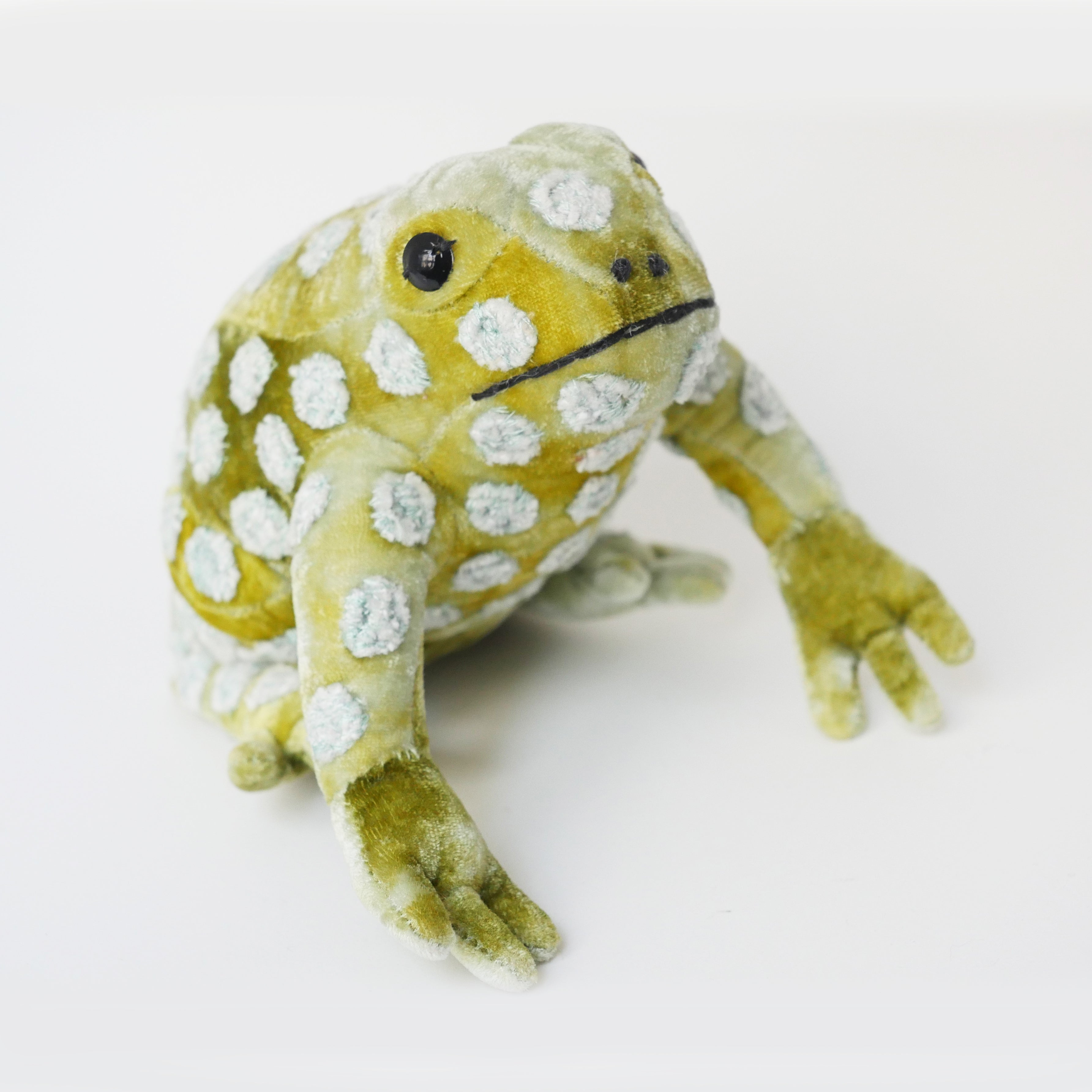 Chartreuse frog with blue flowers