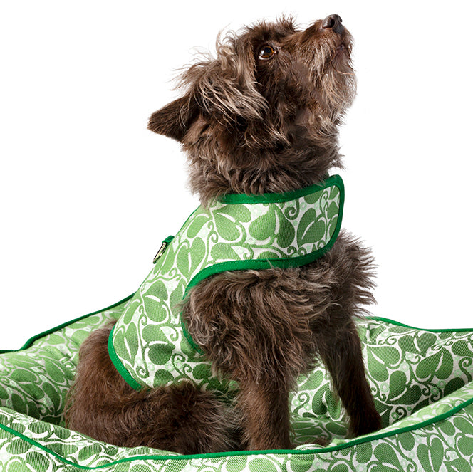 Green Leaf Harness