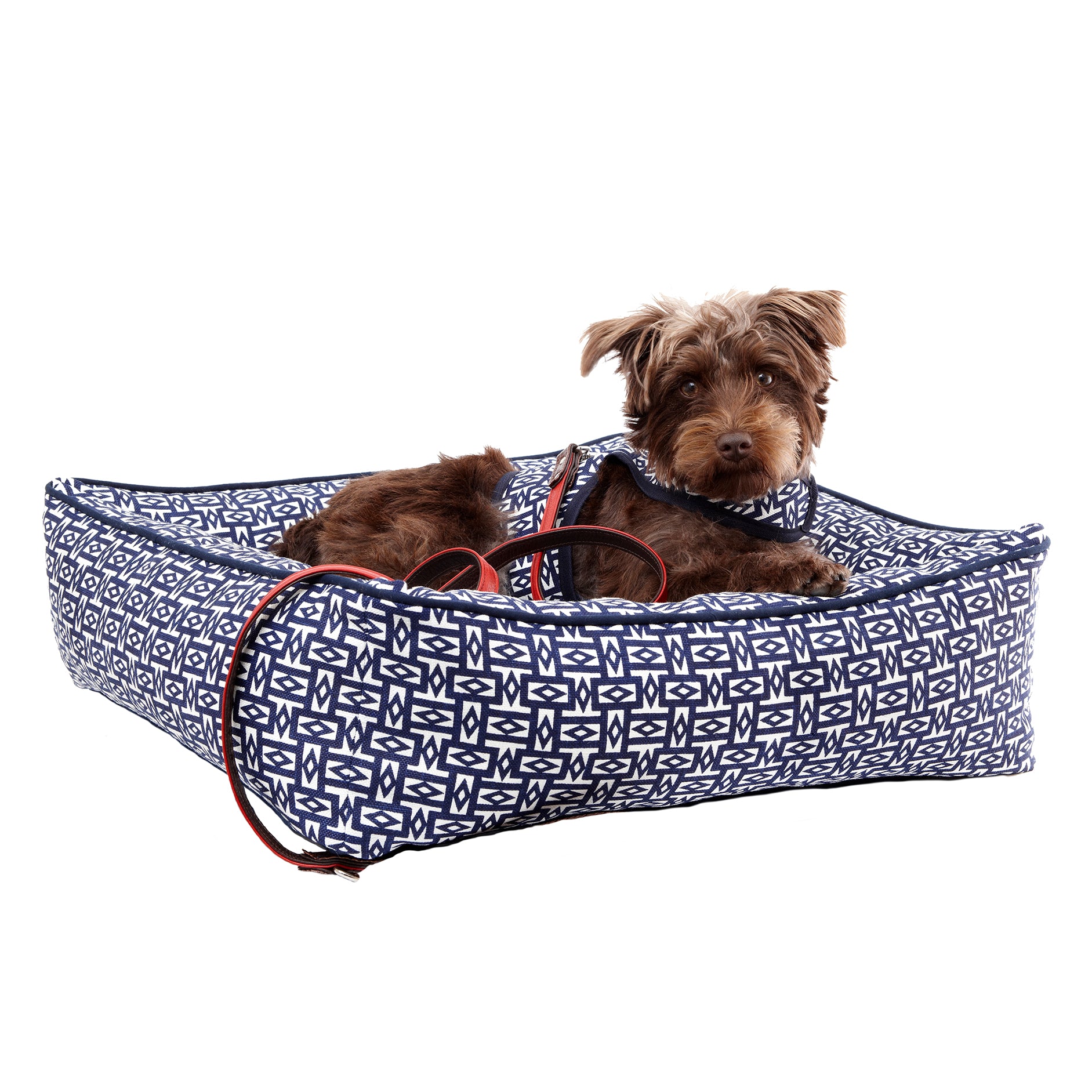 Neue Hund Daybed