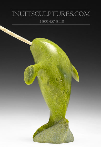 7" Fledgling Narwhal by Pitseolak Qimirpik *Young Warrior*