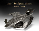 16" SIGNATURE Loon by Jimmy Iqaluq *PreBoarding*