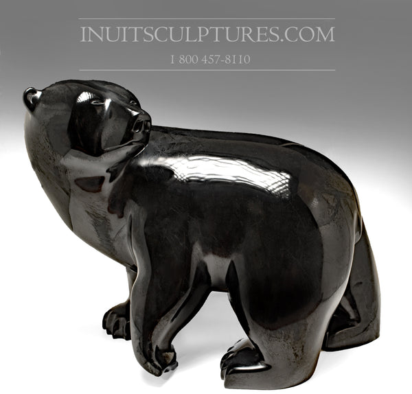 RESERVED** Masterpiece 300 lbs Black Walking Bear by Joe Jaw Ashoona