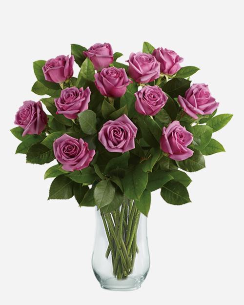 Classic Dozen Pink Roses - Fresh Blooms Langley Florist - Surrey