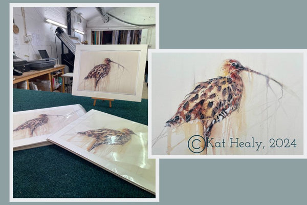 Curlew Grazing Fine Art Print Limted Edition by Kat Healy Gullane East Lothian Artist