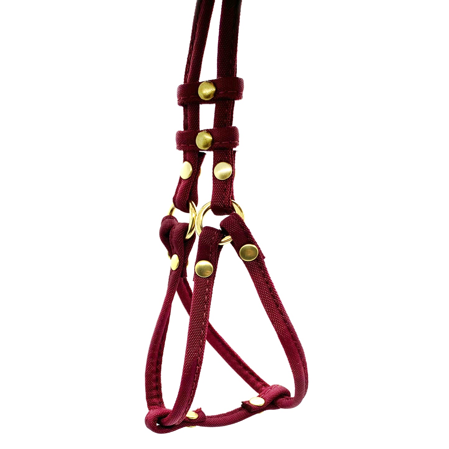 Designer Inspired Step-In Harness w/ Leash – Delray Feed & Supply