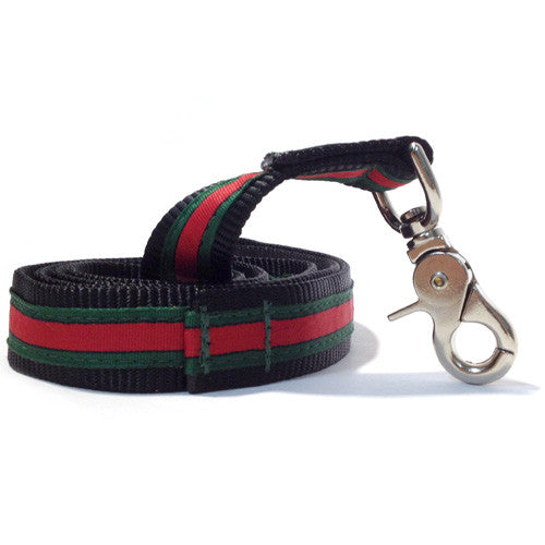 gucci dog belt