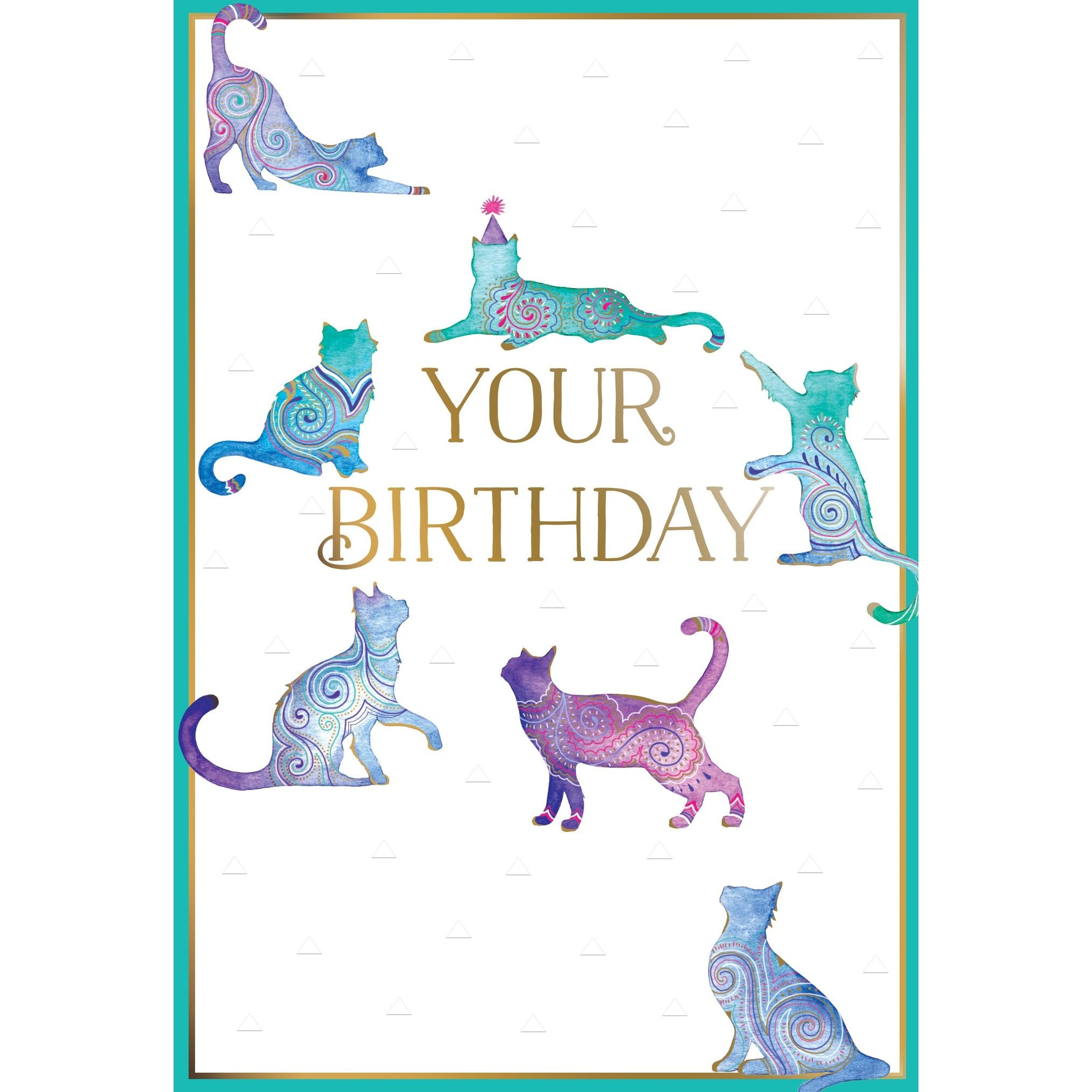 Best Life Cool Cat Funny Birthday Card Pictura USA Greeting Cards – Cardmore