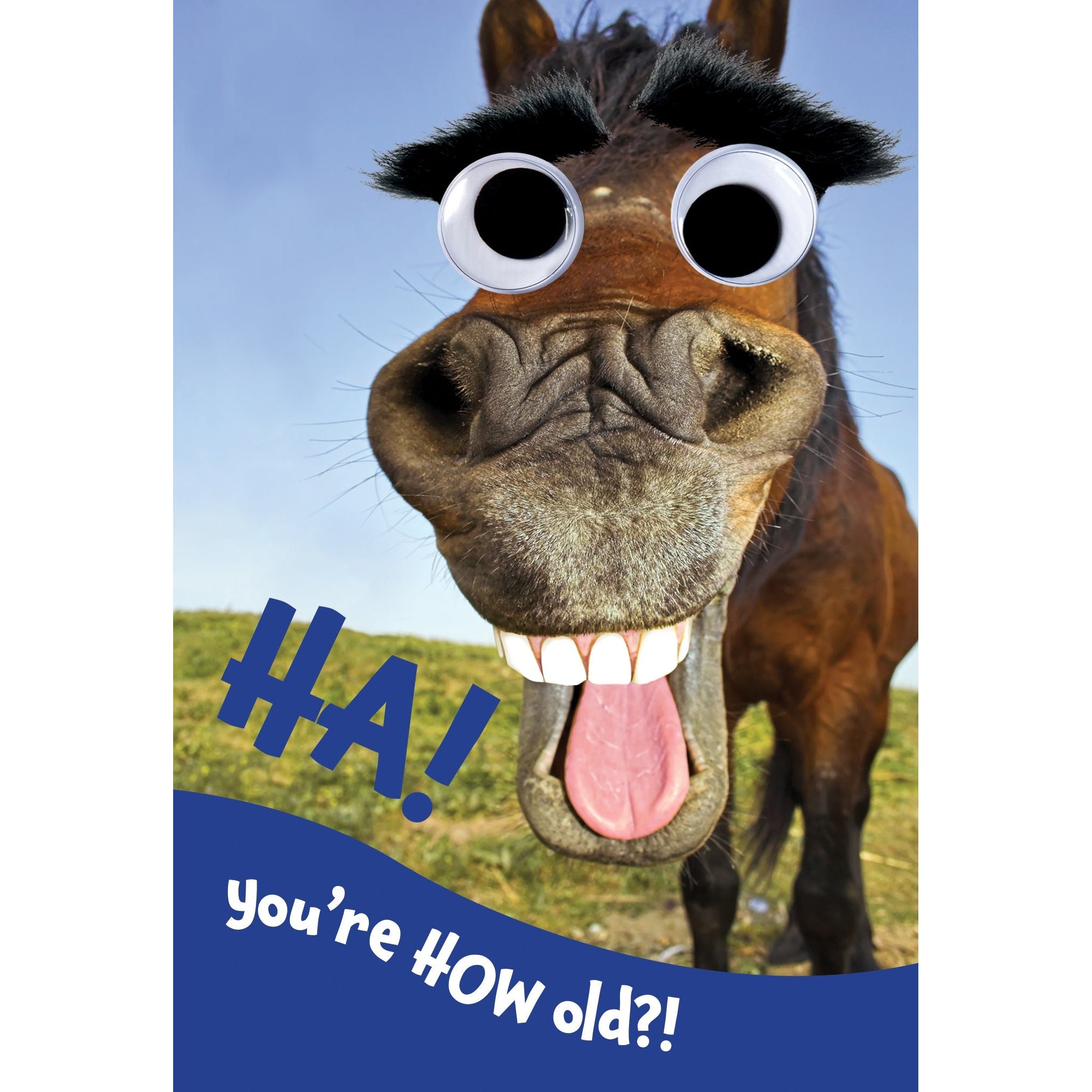 horse laughing