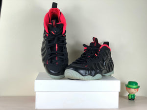 nike air foamposite pro size 12