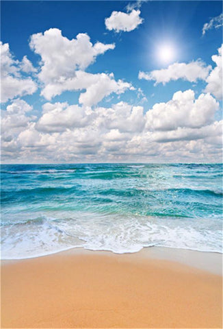 Beach Summer Sky Sandy Tropical Holiday BackdropWe can do any size and your custom backdrops with no extra charge. Please contact: service@starbackdrop.comWe can do any size and your custom backdrops with no extra charge. Please contact: service@starbackdrop.com							