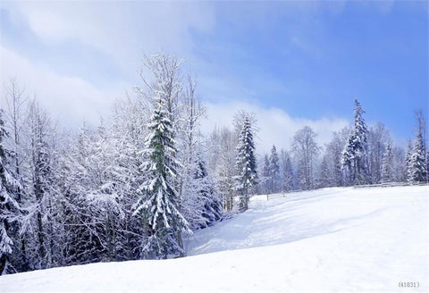 Winter Blue Sky Snow BackdropWe can do any size and your custom backdrops with no extra charge. Please contact: service@starbackdrop.com