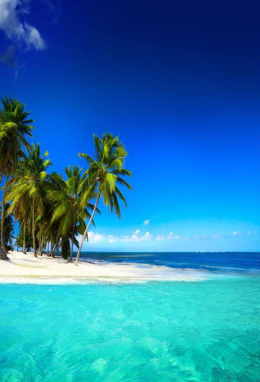 Buy Blue Sea And Sky Beautiful Backdrops for Sea Summer Theme ...